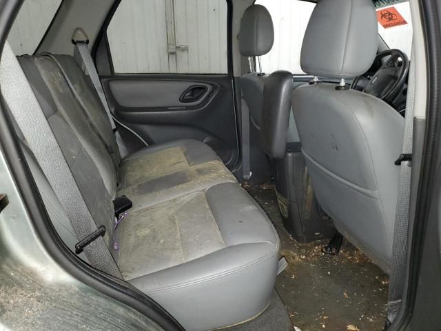 2007 Ford Escape XLT