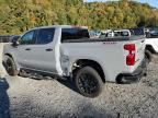 2024 Chevrolet Silverado K1500 Trail Boss Custom