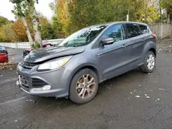 Salvage cars for sale at Portland, OR auction: 2013 Ford Escape SEL