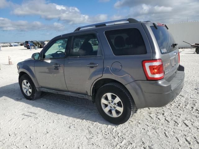 2010 Ford Escape Limited