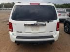 2009 Honda Pilot EXL