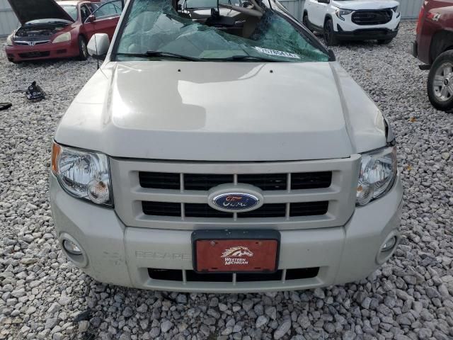 2008 Ford Escape Limited