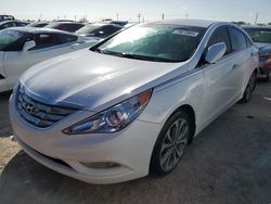 Salvage cars for sale at Arcadia, FL auction: 2013 Hyundai Sonata SE