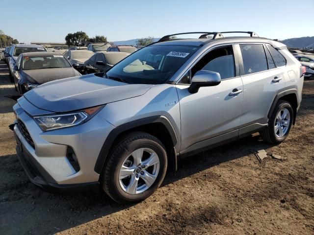 2019 Toyota Rav4 XLE