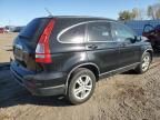 2010 Honda CR-V EXL