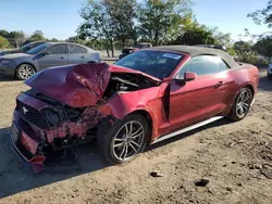 Muscle Cars for sale at auction: 2017 Ford Mustang