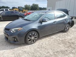 Salvage cars for sale at Apopka, FL auction: 2016 Toyota Corolla L