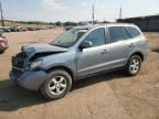 2007 Hyundai Santa FE GLS