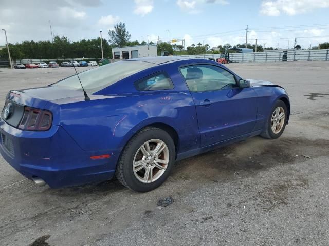 2014 Ford Mustang