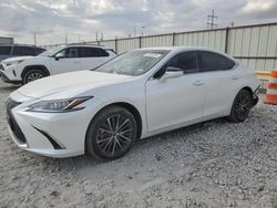 Salvage cars for sale at Haslet, TX auction: 2024 Lexus ES 350 Base