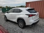 2020 Lexus NX 300