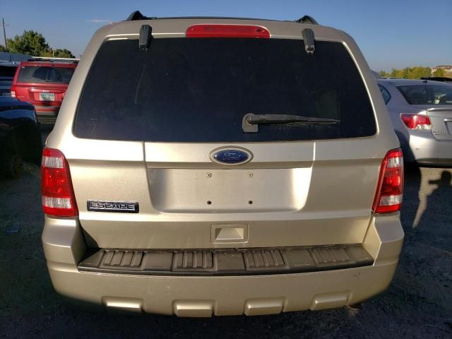 2010 Ford Escape XLT