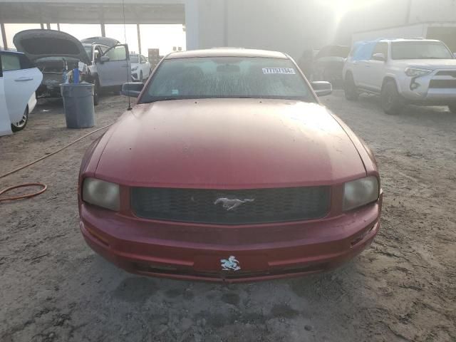 2005 Ford Mustang