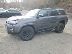 Toyota 4runner salvage cars for sale: 2019 Toyota 4runner SR5