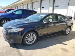 Salvage cars for sale at Louisville, KY auction: 2019 Ford Fusion SE