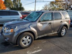 2010 Ford Escape XLT en venta en Moraine, OH