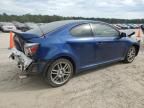 2008 Scion TC