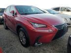 2019 Lexus NX 300 Base