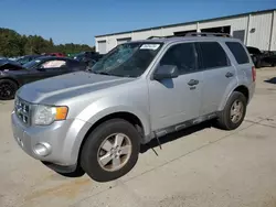 Salvage cars for sale from Copart Gaston, SC: 2012 Ford Escape XLT