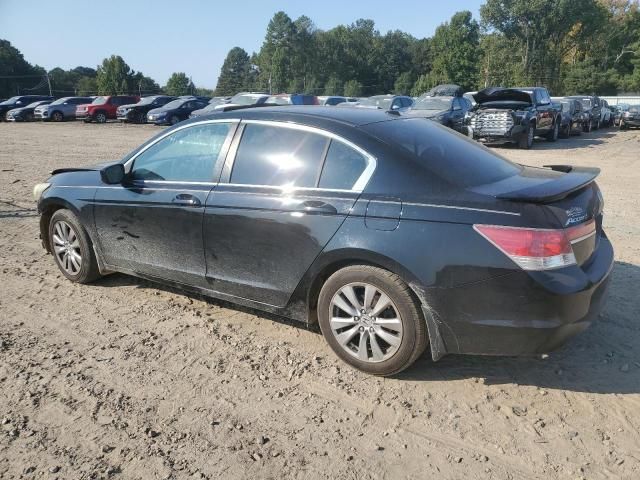 2011 Honda Accord EXL