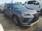 2019 Lexus NX 300 Base