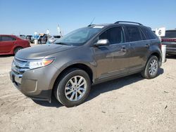 Salvage cars for sale at Amarillo, TX auction: 2013 Ford Edge Limited