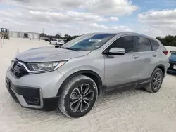 2020 Honda CR-V EXL en venta en New Braunfels, TX