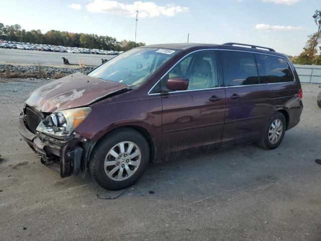 2010 Honda Odyssey EXL