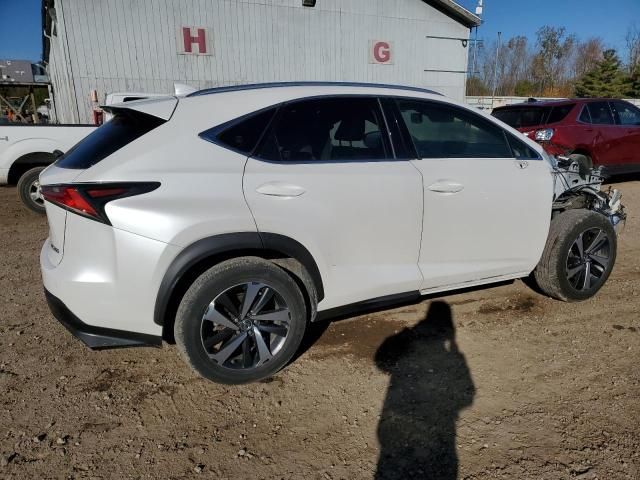 2020 Lexus NX 300