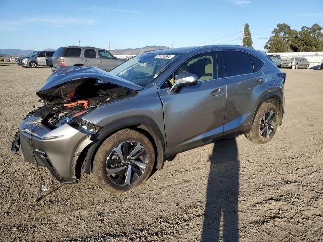 2021 Lexus NX 300H Base