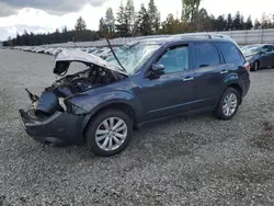 Vehiculos salvage en venta de Copart Graham, WA: 2013 Subaru Forester Touring