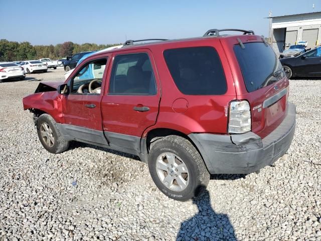 2005 Ford Escape XLT