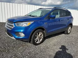 Copart select cars for sale at auction: 2018 Ford Escape SE