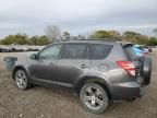 2010 Toyota Rav4 Sport