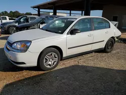 Chevrolet Vehiculos salvage en venta: 2005 Chevrolet Malibu