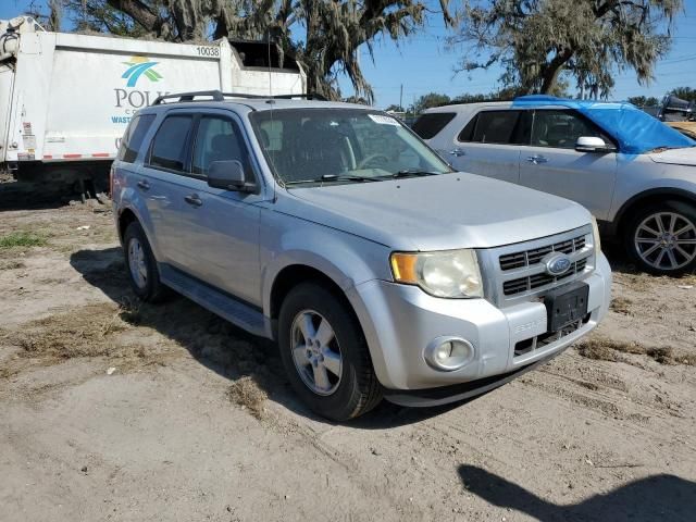 2010 Ford Escape XLT