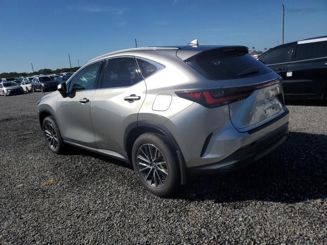 2022 Lexus NX 250