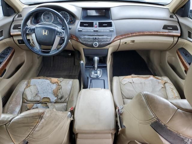 2008 Honda Accord EXL