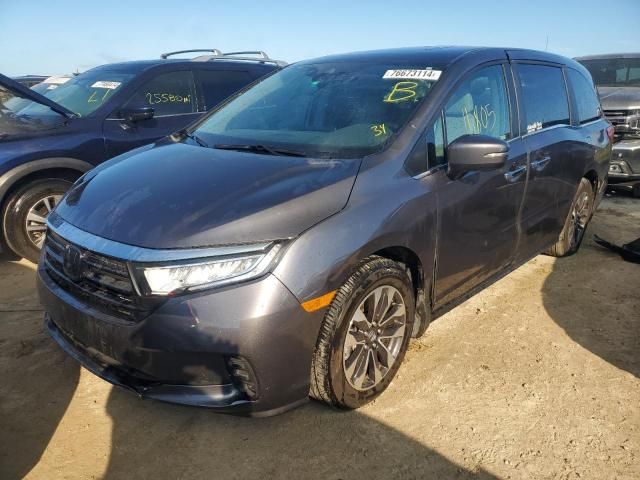 2024 Honda Odyssey EXL