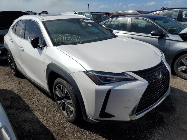 2019 Lexus UX 200