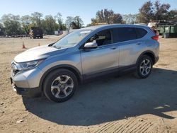 Salvage cars for sale at Baltimore, MD auction: 2019 Honda CR-V EXL