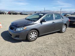 Salvage Cars with No Bids Yet For Sale at auction: 2009 Toyota Corolla Base