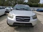 2007 Hyundai Santa FE SE