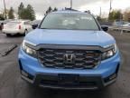 2024 Honda Passport Trail Sport