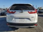 2019 Honda CR-V EXL