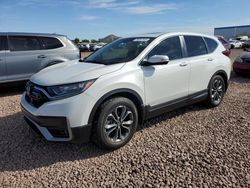 Salvage cars for sale at Phoenix, AZ auction: 2020 Honda CR-V EXL