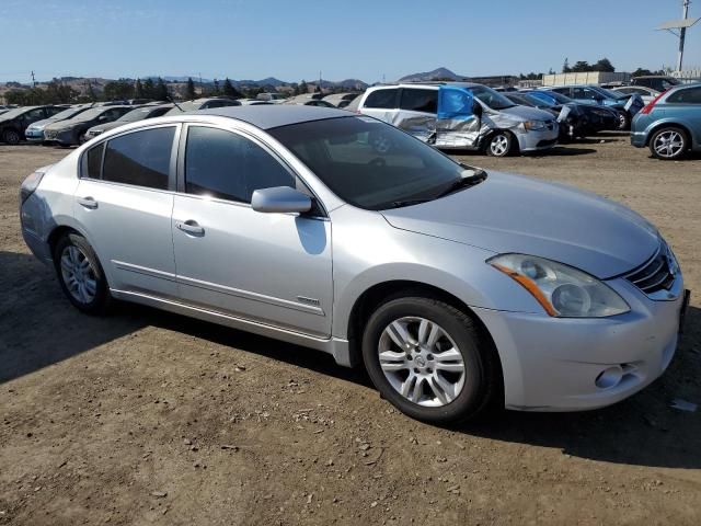 2010 Nissan Altima Hybrid