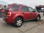 2009 Ford Escape XLT