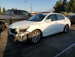 Honda salvage cars for sale: 2013 Honda Accord EXL