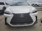 2024 Lexus NX 350H Base